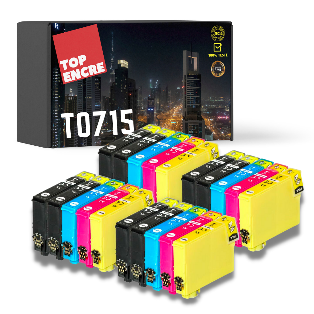 Pack 20 Cartouches compatibles EPSON T0715 XL