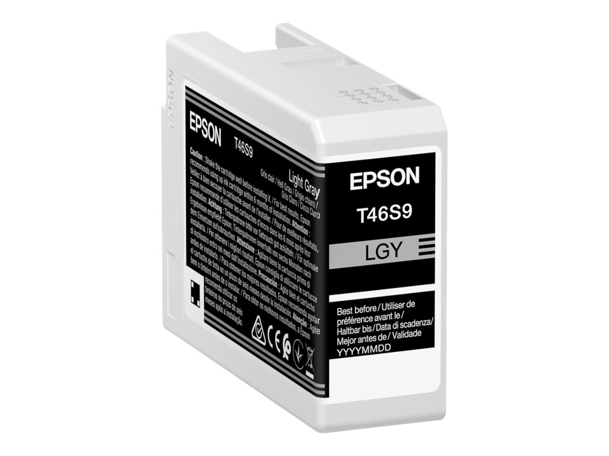 Epson cartouche encre T46S9 (C13T46S900) gris clair