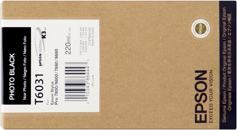 Epson cartouche encre T6031 (C13T603100) photo noir